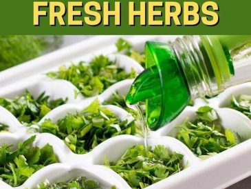 A kitchen counter with various fresh herbs, ice cube trays, and containers ready for freezing.